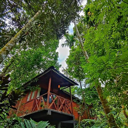 Wooden Cottages Glen Wayanad Meppādi Екстериор снимка