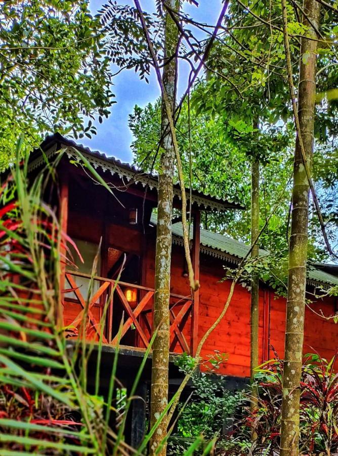 Wooden Cottages Glen Wayanad Meppādi Екстериор снимка