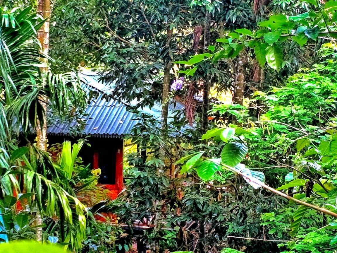 Wooden Cottages Glen Wayanad Meppādi Екстериор снимка