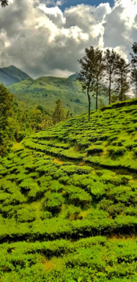 Wooden Cottages Glen Wayanad Meppādi Екстериор снимка