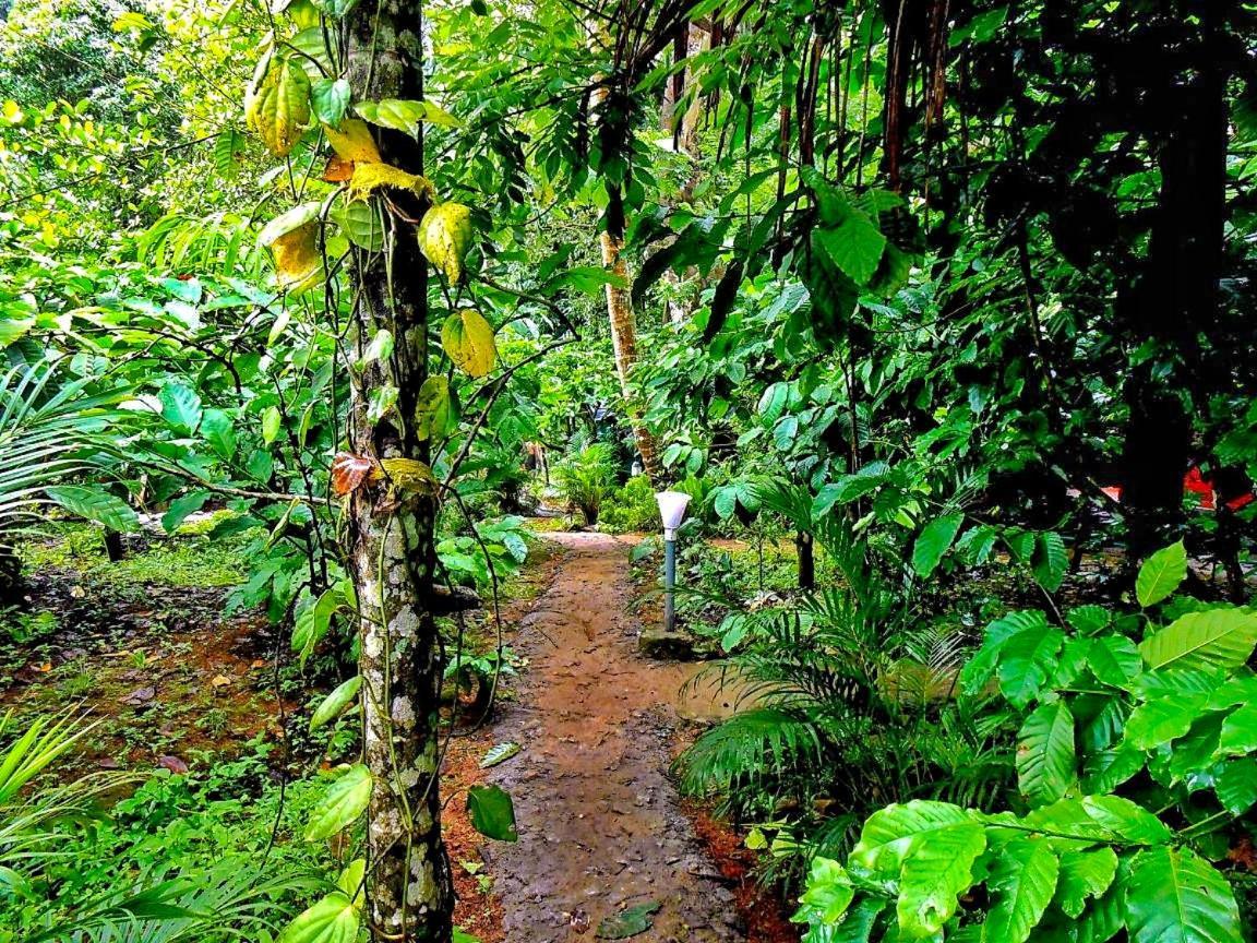 Wooden Cottages Glen Wayanad Meppādi Екстериор снимка