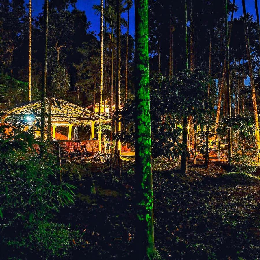 Wooden Cottages Glen Wayanad Meppādi Екстериор снимка