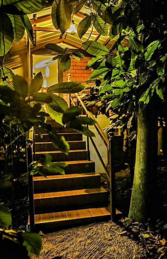 Wooden Cottages Glen Wayanad Meppādi Екстериор снимка