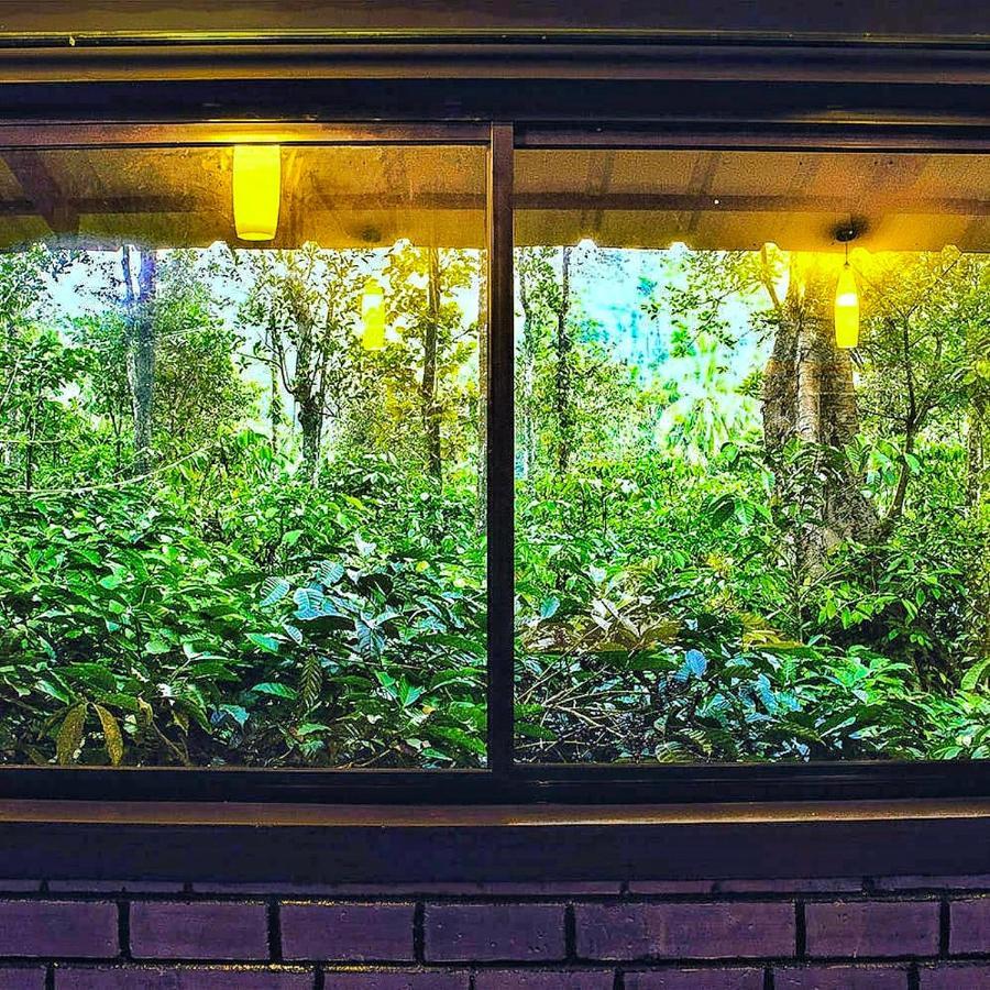 Wooden Cottages Glen Wayanad Meppādi Екстериор снимка