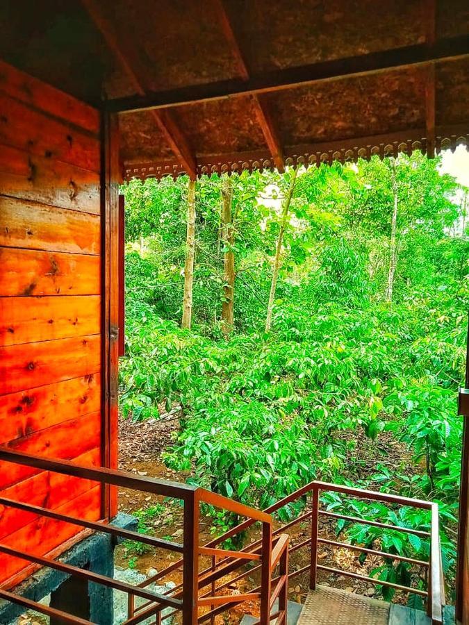 Wooden Cottages Glen Wayanad Meppādi Екстериор снимка
