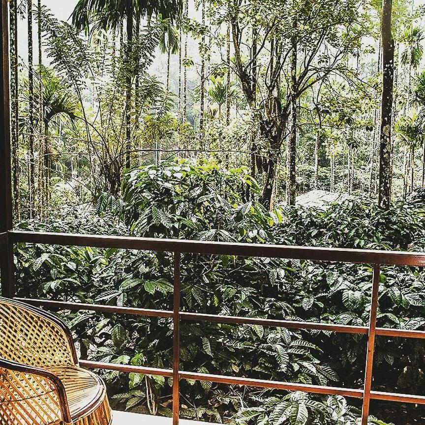 Wooden Cottages Glen Wayanad Meppādi Екстериор снимка