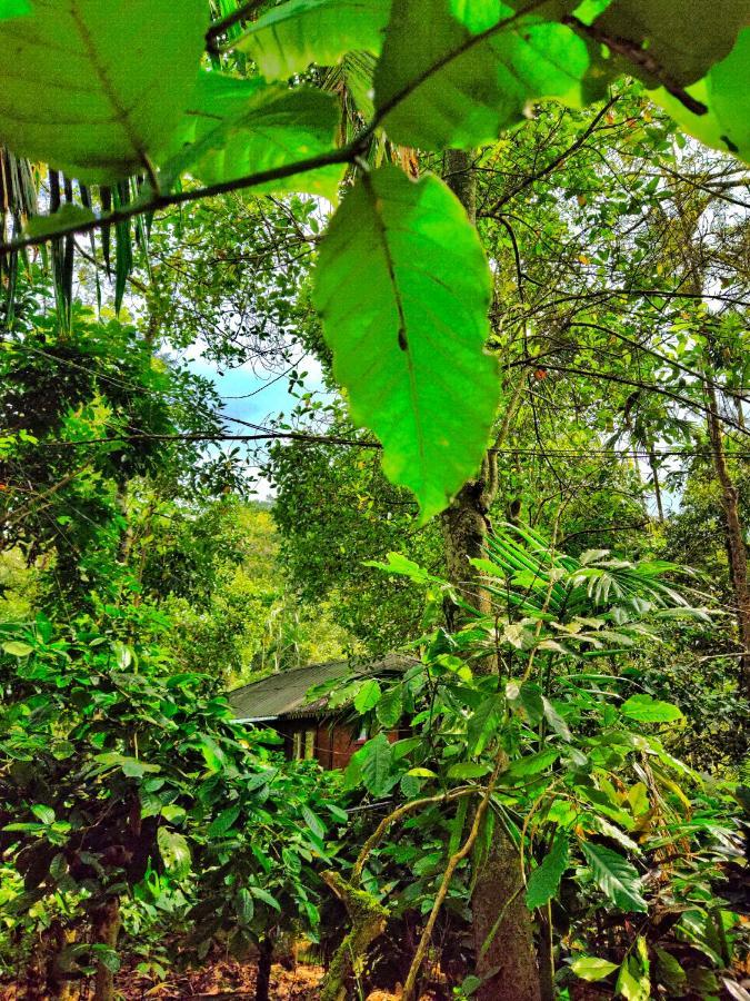 Wooden Cottages Glen Wayanad Meppādi Екстериор снимка