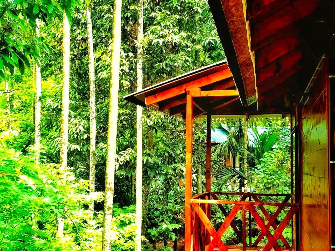 Wooden Cottages Glen Wayanad Meppādi Екстериор снимка