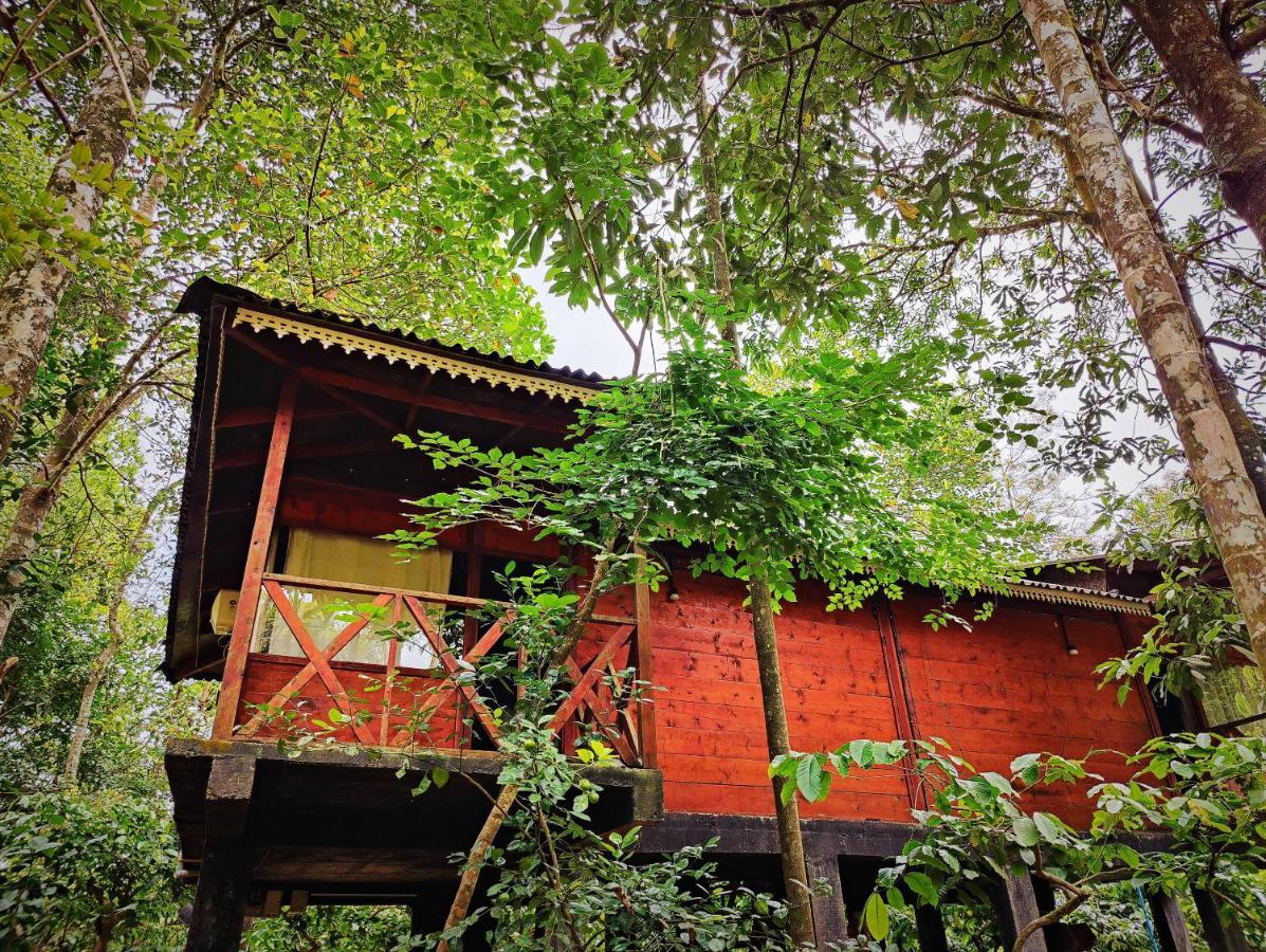 Wooden Cottages Glen Wayanad Meppādi Екстериор снимка