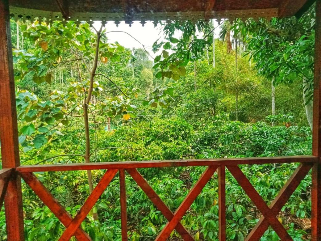Wooden Cottages Glen Wayanad Meppādi Екстериор снимка