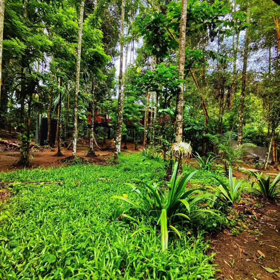 Wooden Cottages Glen Wayanad Meppādi Екстериор снимка