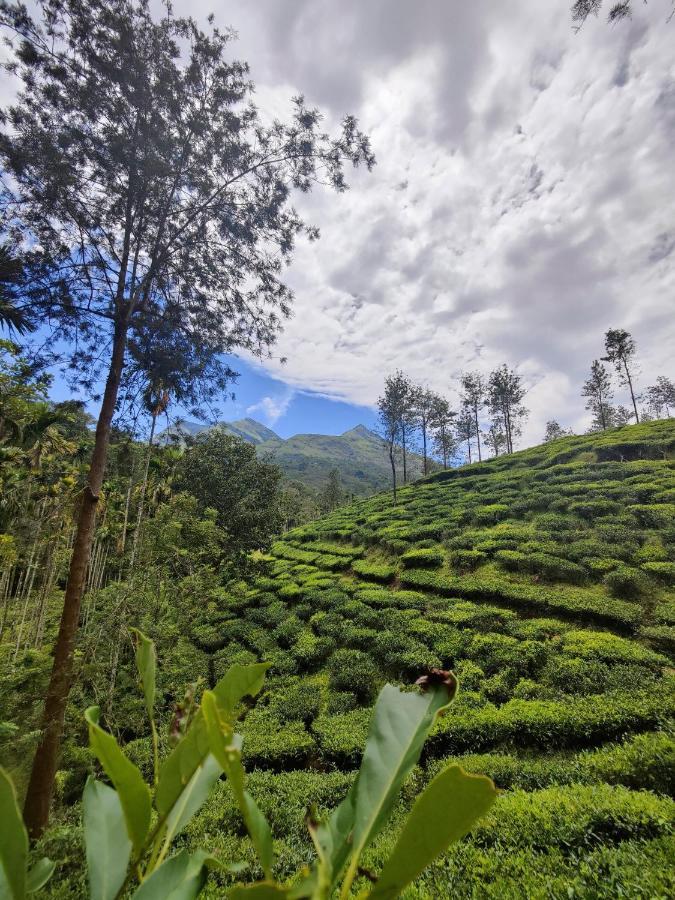 Wooden Cottages Glen Wayanad Meppādi Екстериор снимка