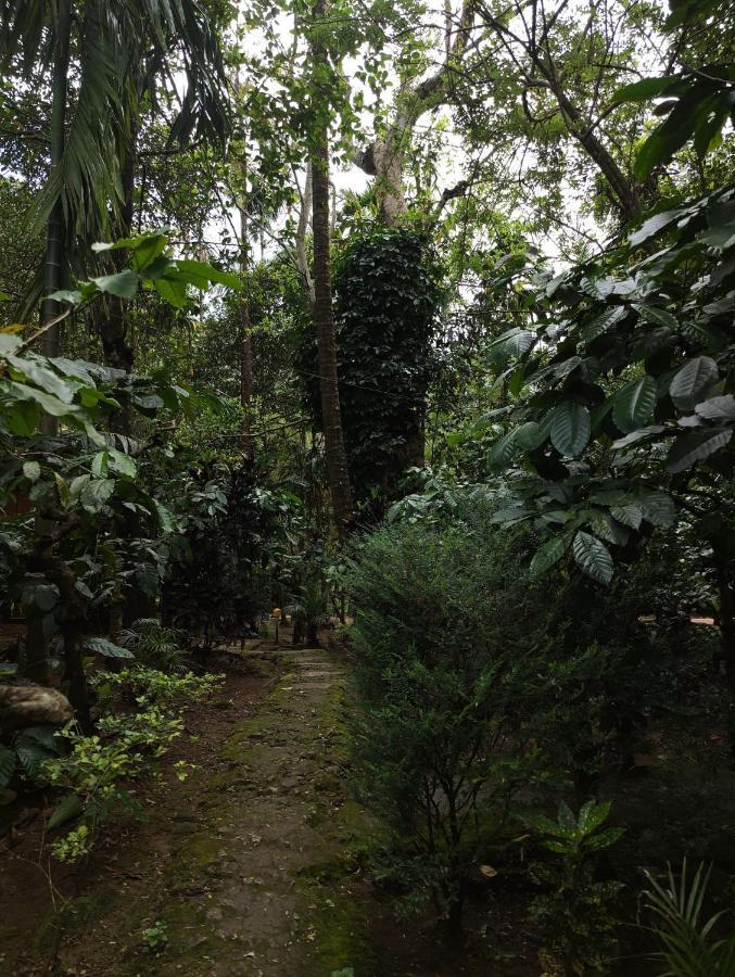 Wooden Cottages Glen Wayanad Meppādi Екстериор снимка
