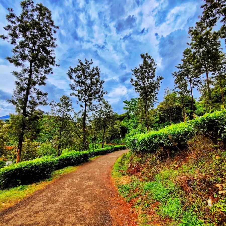 Wooden Cottages Glen Wayanad Meppādi Екстериор снимка