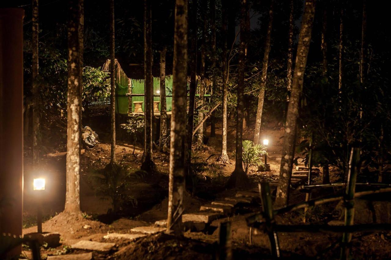 Wooden Cottages Glen Wayanad Meppādi Екстериор снимка