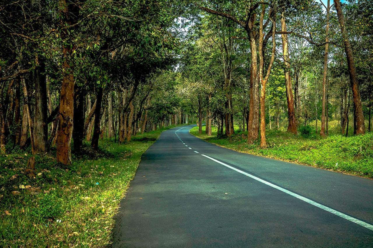 Wooden Cottages Glen Wayanad Meppādi Екстериор снимка