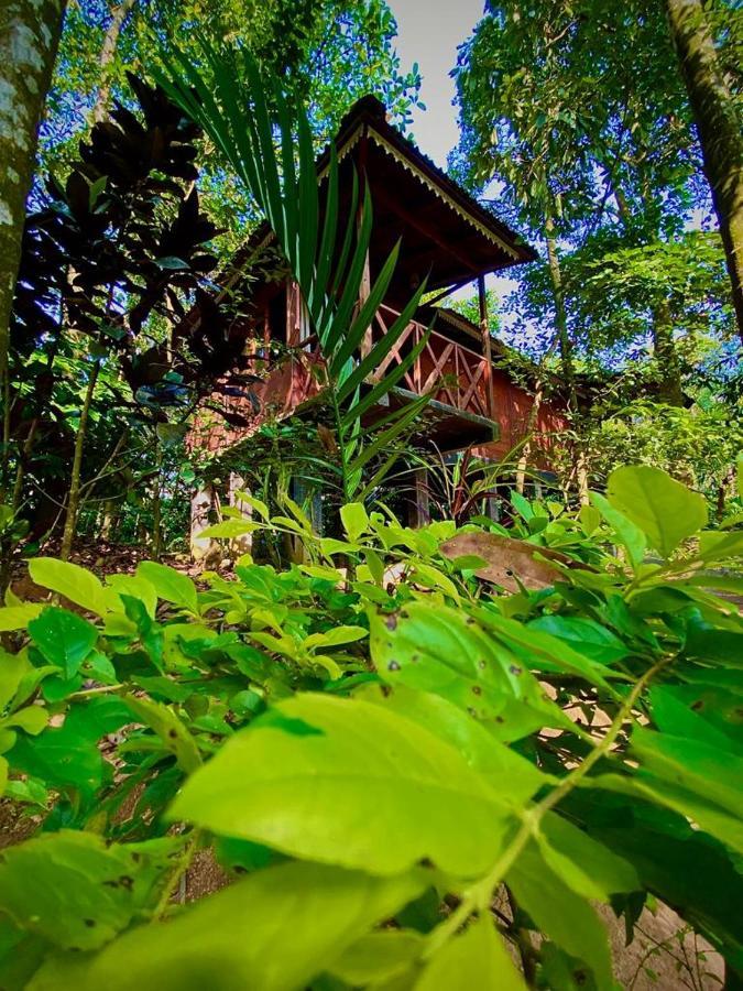 Wooden Cottages Glen Wayanad Meppādi Екстериор снимка