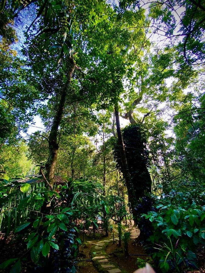 Wooden Cottages Glen Wayanad Meppādi Екстериор снимка