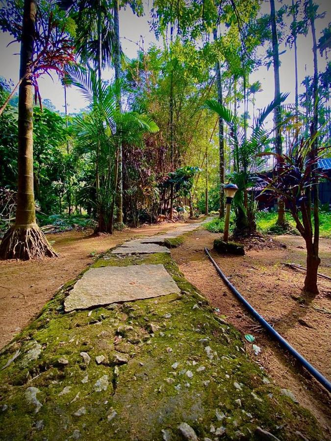 Wooden Cottages Glen Wayanad Meppādi Екстериор снимка