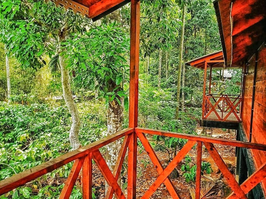 Wooden Cottages Glen Wayanad Meppādi Екстериор снимка