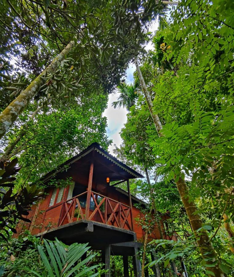Wooden Cottages Glen Wayanad Meppādi Екстериор снимка