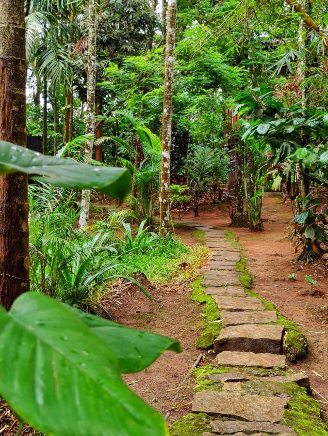 Wooden Cottages Glen Wayanad Meppādi Екстериор снимка